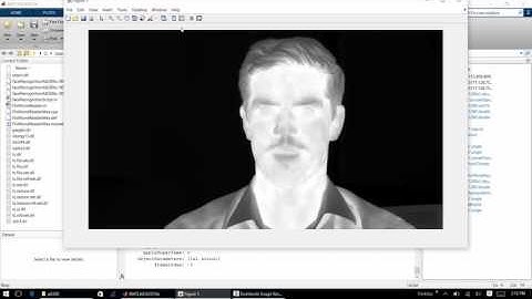 FLIR Thermal Face Detection and Tracking in Matlab