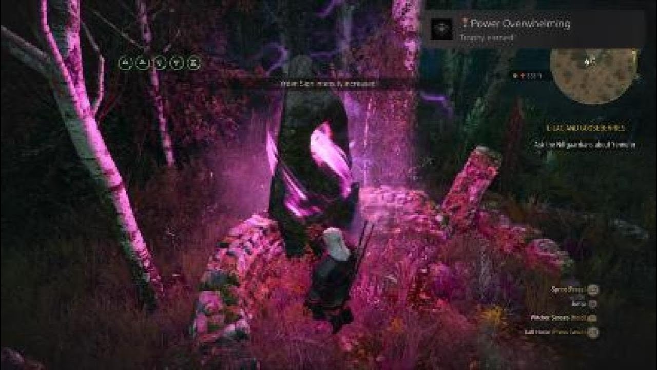 Witcher 3 - Power Overwhelming - PS5 🏆