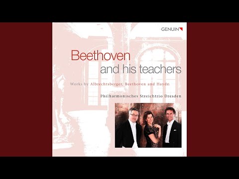 Serenade in D Major, Op. 8: IV. Allegretto alla Polacca