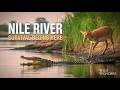 NILE RIVER (2026) | Survival Tales Along Africa’s Lifeline