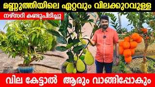 മണ്ണുത്തിയിലെ ഏറ്റവും വിലക്കുറവുള്ള നഴ്സറി കണ്ടുപിടിച്ചു | വിലകൾ കേട്ടാൽ ആരും വാങ്ങിപ്പോകും