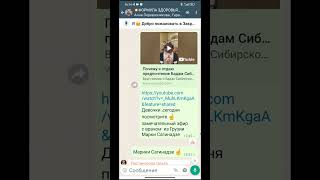 Как работать в клиентском чате #сибирскоездоровье #клиентскийчат#shortvideo #бизнесонлайн