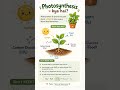 🌿✨important basic for school students #ncert #biology #photosynthesis #easybiology 🌿✨