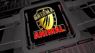 intro batalla animal 2015