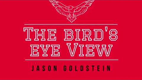 The Bird's Eye View AFC East Preview Show (feat. E...