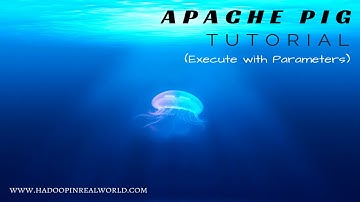 Apache Pig Tutorial - Execute with Parameters