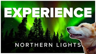 Experience Churchill's Northern Lights by Natural Habitat Adventures 72,650 views 11 months ago 1 minute, 26 seconds