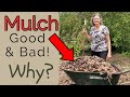 Some mulch should be avoided and others are welcomeat the right time and place