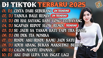 DJ TIKTOK TERBARU 2025 | DJ CINTA DARI SEBERANG🎵DJ TABOLA BALE REMIX🎵| FULL ALBUM
