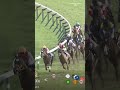 WIN CARNELIAN ウインカーネリアン takes the G1 Sprinters Stakes at Nakayama! 🇯🇵