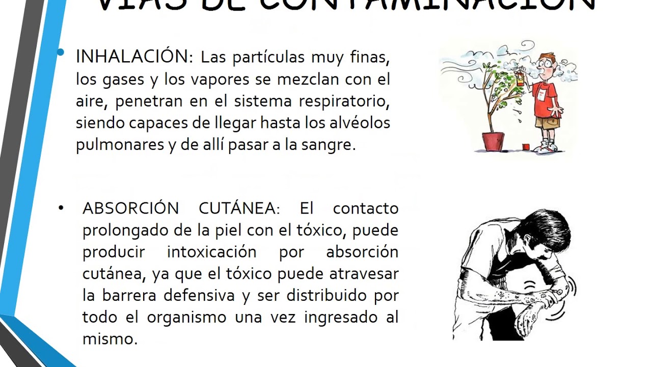 Candida cutanea tratamiento natural