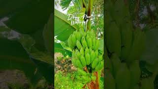 The Lyrical Beauty Of Dray Nur Waterfall