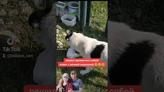 Наш сосед по участку 🐕🥰