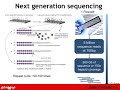 Somatic Mutations