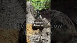 Beatka wróciła?!