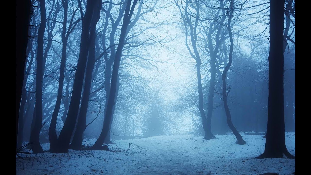 Icy Winters Icy Winters