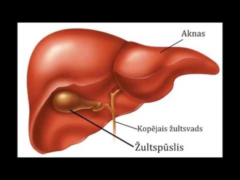 Video: Apsvērumi, Izstrādājot Sistēmas Cilvēka Kardiomiocītu Liela Apjoma Ražošanai No Pluripotentām Cilmes šūnām