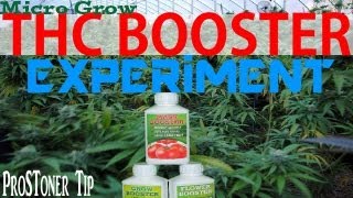 Micro Grow | Increase Harvest Yield Experiment W/ Grow Booster Marijuana Boooster THC Booster