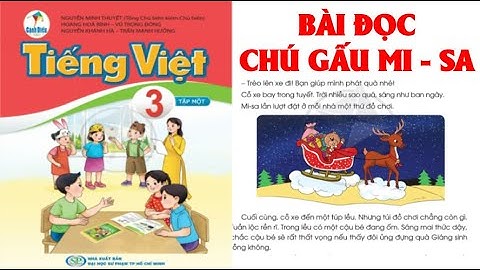 TIẾNG VIỆT LỚP 3. BÀI ĐỌC: CHÚ GẤU MI-SA SÁCH CÁNH DIỀU  (HAY NHẤT)