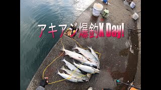 Salmon Fishing 2019 X Day!【Vlog】