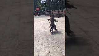 علام هذا القرد  akrobat monkey