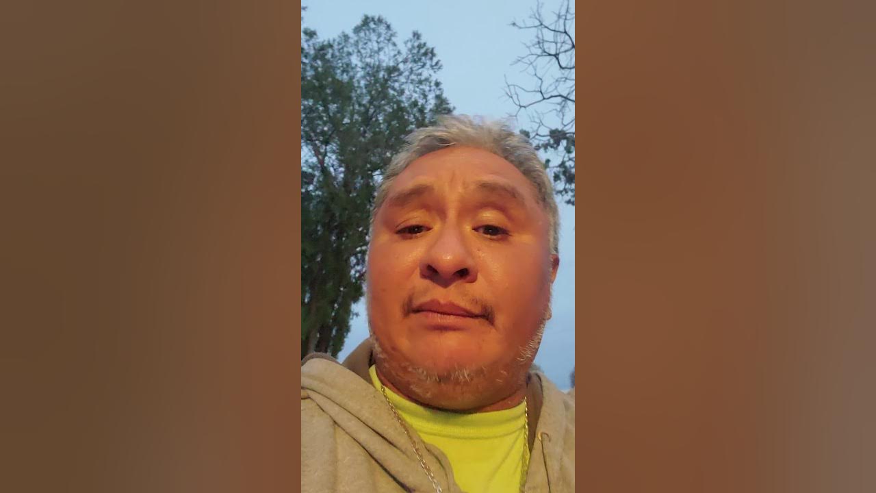 Cat intruder boots reviews 15 months later YouTube