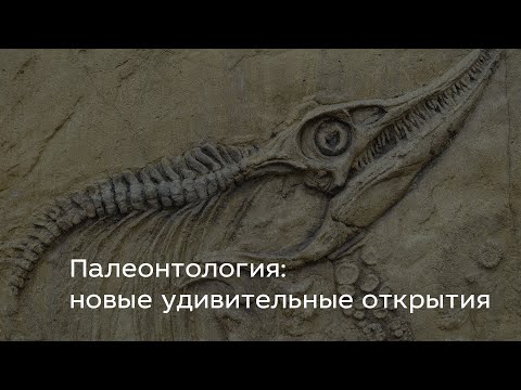 Палеонтология: новые удивительные открытия