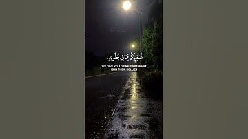 سورة النحل الأية 65 إلى الأية 67 #قرآن #قران_كريم #المصحف #اكسبلور #لايك