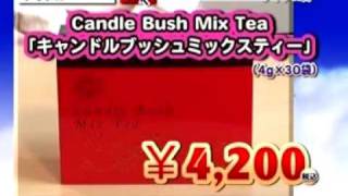 shapro-キャンドル・ブッシュ・ミックスティー