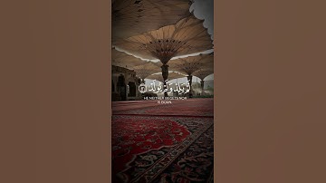 سورة الإخلاص 🌿 تعدل ثلث القرآن، تذكّرنا بعظمة #قرآن #قران_كريم #quran #سورة_الإخلاص #saudiarabia