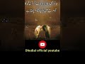 5 muharram status l whatsapp status l dar e ahlulbyt l 5muharram karbala moharramstatus