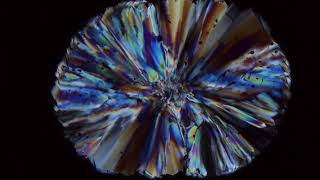 sugarXPL 080 50fps