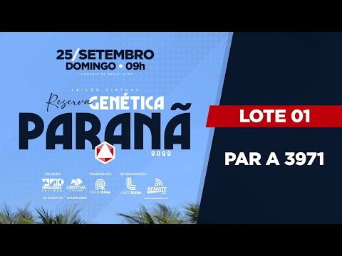 LOTE 1 PAR A3971