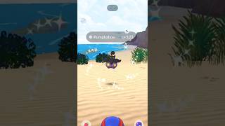 LEVEL 80 is ALMOST HERE (???) and A SURPRISE SHUNDO! #pokemongo #shorts