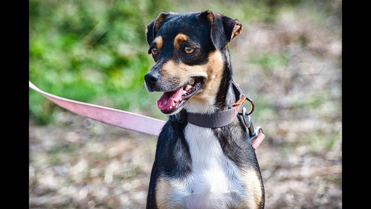 Kris, eine suesse Maus