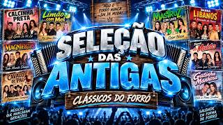 SELEÇÃO FORRÓ DAS ANTIGAS | GRANDES BANDAS PRA DANÇAR SEM PARAR | Mastruz com Leite, Magníficos
