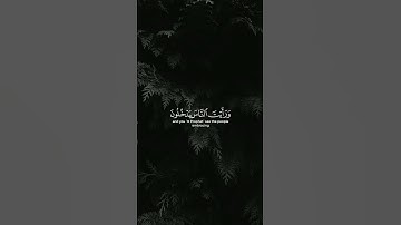 إِذَا جَاءَ نَصْرُ اللَّهِ وَالْفَتْحُ|من سورة النصر|القارئ سعد الغامدي😴❤️.