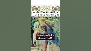 surah Al teen سورة التين @HasonNyuki#quraan-1to30 beautiful voice #islamicvideo