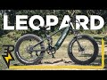 HUGE Fat Tire Ebike | Yotobike Leopard | Electric Bike Review