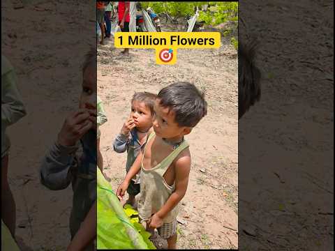 1 Million Flowers 🎯 #shorts #viral #shortvideo
