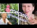 ВЛОГ ИЗ РОССИИ 🍇🍇🍇