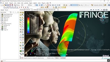 Abaqus Fluid Structure Interaction between Vessel and Blood- using heart pulse
