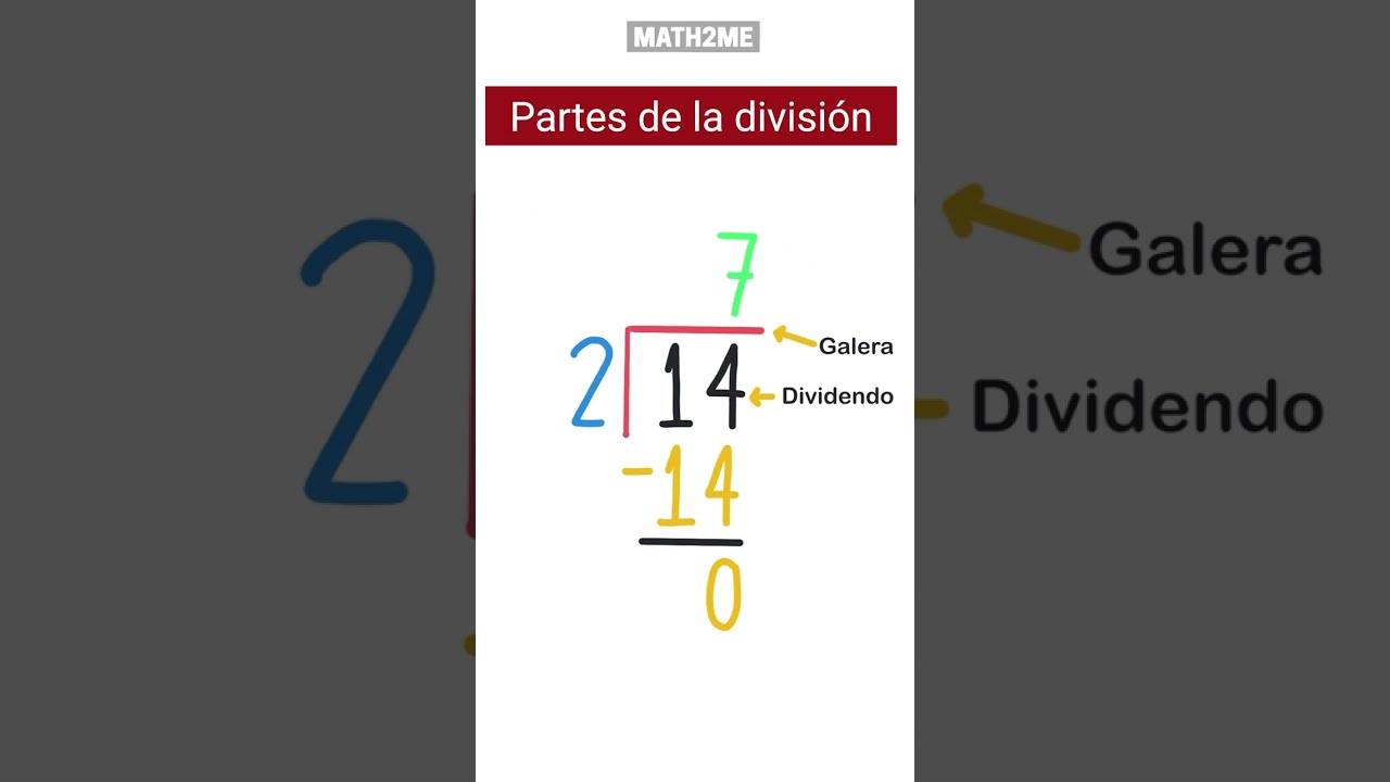 El divisor y el dividendo