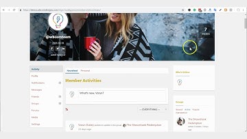 Introducing BuddyPress NewsFeed