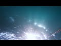 水深14mでとんでもない魚群が急接近！目を疑う光景だった！【日本海で魚突き】