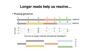 MCB 182 Lecture 2.5 - PacBio, Nanopore sequencing
