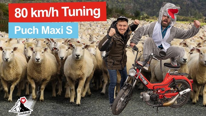 Leichtes, unauffälliges tuning Setup für Puch Maxi - Anleitung