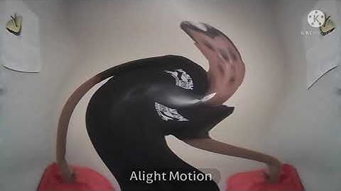An Acting Kangaroo in Opposite Mirror Twirls (KineMaster and Alight Motion Version)