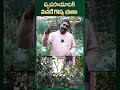 వ్యవసాయానికి మనదే గొప్ప భూమి | Terrace Gardening | Ravichander | Mega9 Agri