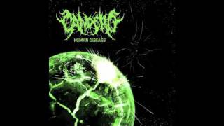 Candero - Pig Deformation